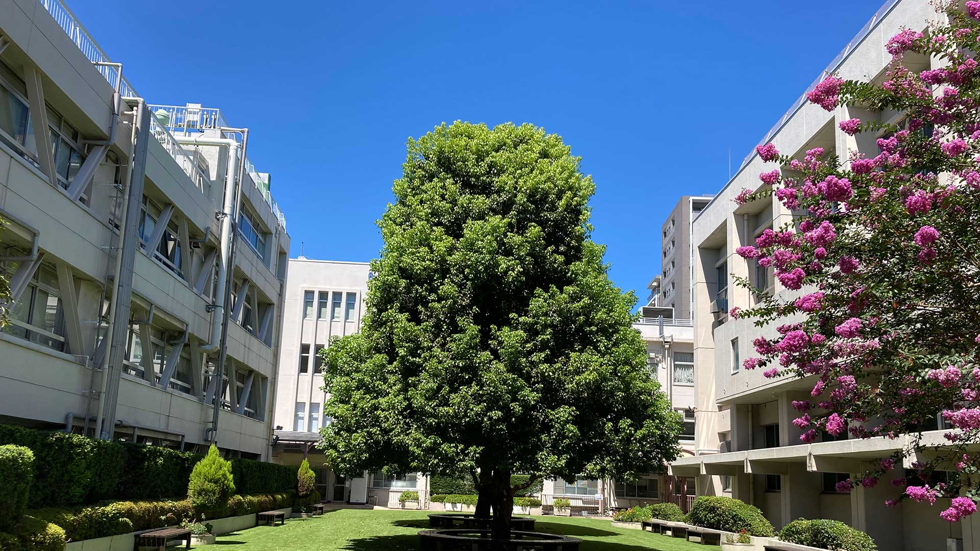 学校方針 | 新渡戸文化中学校・高等学校